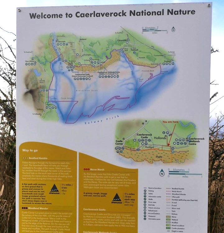 Pictures sent by Dr Jane Rowley, Project Manager at Trent Dementia, from another of her favourite walks around the Caerlaverock Wetland Centre and Dumfries National Nature Reserve in Scotland