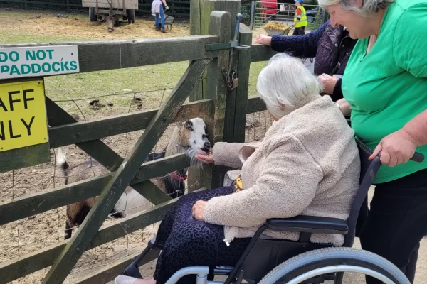 Photo of dementia walking group visit to Stonebridge City Farm, with animals