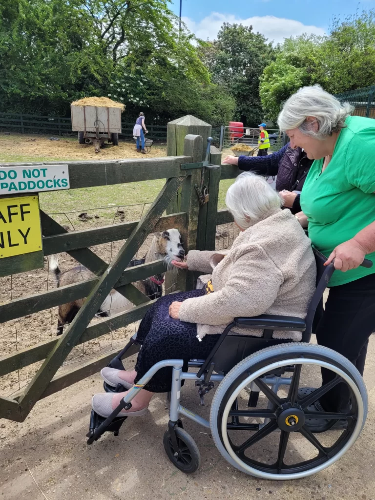 Photo of dementia walking group visit to Stonebridge City Farm, with animals